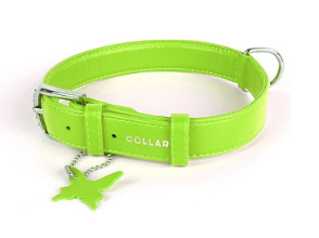 СКИДКА COLLAR ошейник для собак без украшений (зеленый)