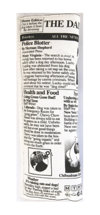 Купить ДОКТОР zoo Игрушка для собак Газета текстильная шуршащая