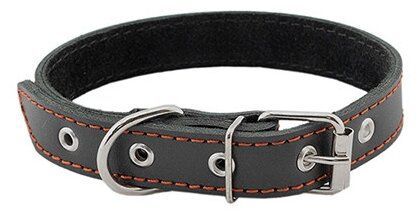 Купить homepet ошейник для собак кожаный простой простроченный черный