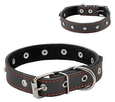 Купить homepet ошейник для собак кожаный с украшениями простроченный черный