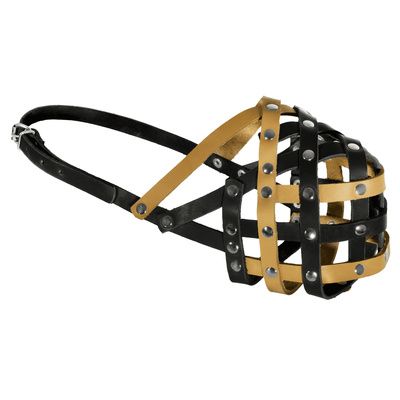 Купить tappi Мэд амуниция кожаный намордник для собак, желто-черный