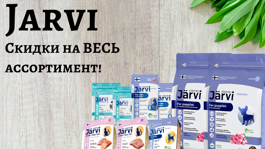 Jarvi скидки на ВЕСЬ ассортимент!