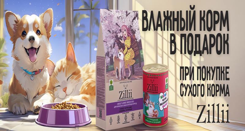 баннер (1).jpg Акция! При покупке сухого корма Zilli влажный корм в подарок