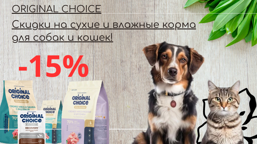 Original Choice.png Скидка на лакомства, сухие и влажные корма Original Choice 15%