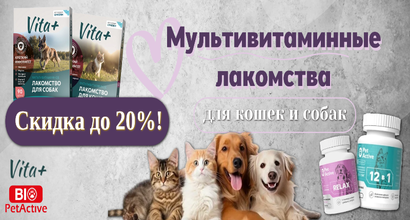 Мультивитаминные лакомства (1) (1).png Скидка до 20% на мультивитаминные лакомства Vita+ и BioPetActive для кошек и собак