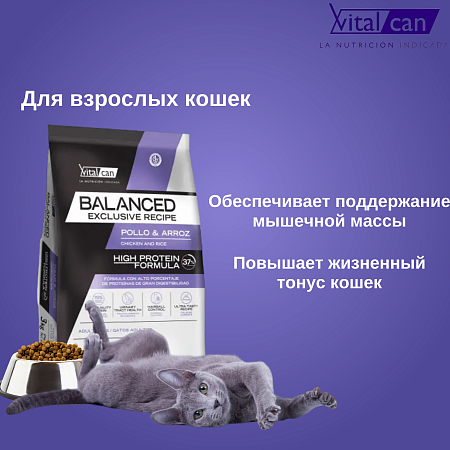 Купить vitalcan balanced cat adult exclusive recipe сухой корм для взрослых кошек с курицей и рисом