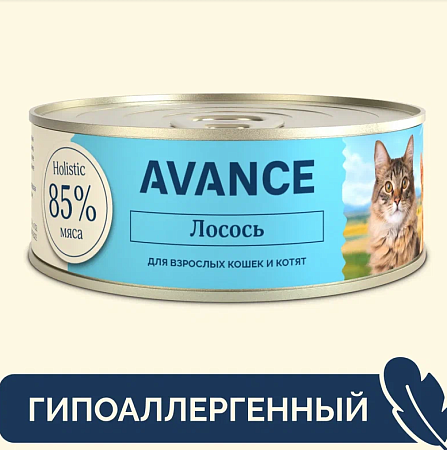 Купить avance holistic консервы Для кошек и котят с лососем, natural&healthy salmon