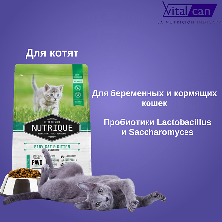 Купить vitalcan nutrique cat kitten сухой корм для котят с индейкой