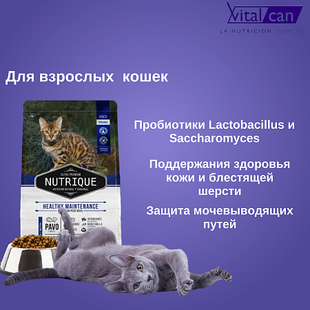 Купить vitalcan nutrique cat adult healthy maintenance сухой корм для взрослых кошек с индейкой