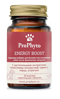 ProPhyto Energy Boost мультикомпонентная кормовая добавка для собак