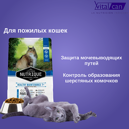 Купить vitalcan nutrique cat healthy mant +7 сухой корм для пожилых кошек с индейкой