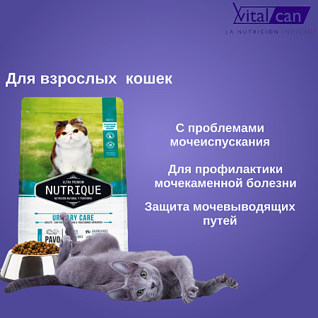 Купить vitalcan nutrique cat urinary care сухой корм для взрослых кошек с проблемами мочеиспускания, с индейкой