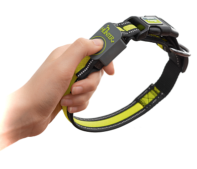 Hunter LED Ошейник для собак Manoa Glow жёлтый