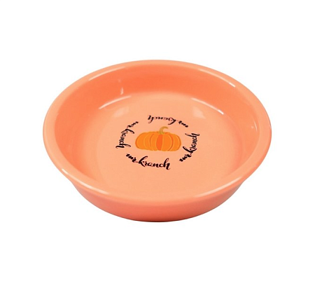 Купить mr.kranch миска керамическая для кошек, Тыква персиковая