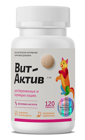 Купить Вит-Актив биологическое добавка для беременных и кормящих кошек, 120 таб