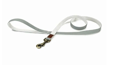 Beeztees  Поводок для собак нейлоновый Virante мятный