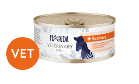 Купить florida vet recovery, консервы для взрослых кошек и собак в период анорексии и послеоперационного восстановления