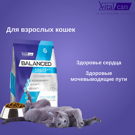 Купить vitalcan balanced cat adult сухой корм для взрослых кошек с курицей