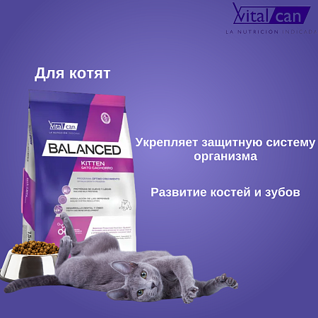 Купить vitalcan balanced cat kitten сухой корм для котят с курицей