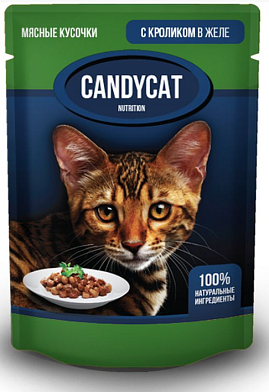 Candycat пауч влажный корм для кошек, с кроликом, кусочки в желе