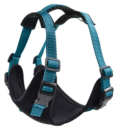 Купить zooexpress fresh line шлейка для собак, морская волна