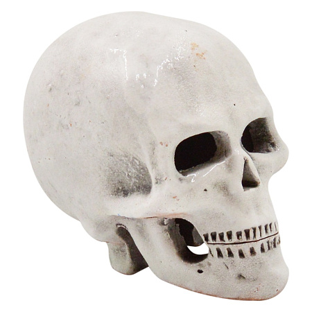 Купить zooexpress Грот Череп Г4 для аквариума