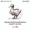 GRANDORF Консервы для собак Паштет из утки #3
