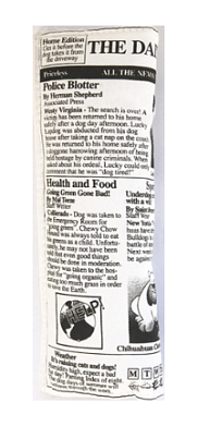 ДОКТОР ZOO Игрушка для собак Газета текстильная шуршащая