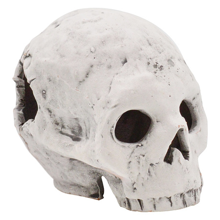 Купить zooexpress Грот Череп Г3 для аквариума